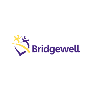 Team Page: Bridgewell